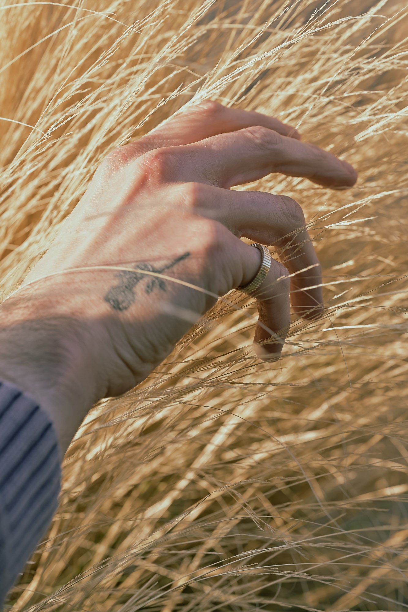 Hand with a tattoo touching dry grass and linear ring. 
